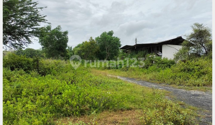 Cheap Land Bonus Warehouse, Zero National Highway, Jenu, Tuban