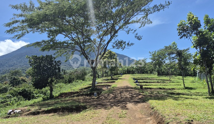 Tanah Pemadangan Top View 360deg Dekat Taman Safari Indonesia Tanah Pemadangan Top View 360deg Dekat Taman Safari Indonesia