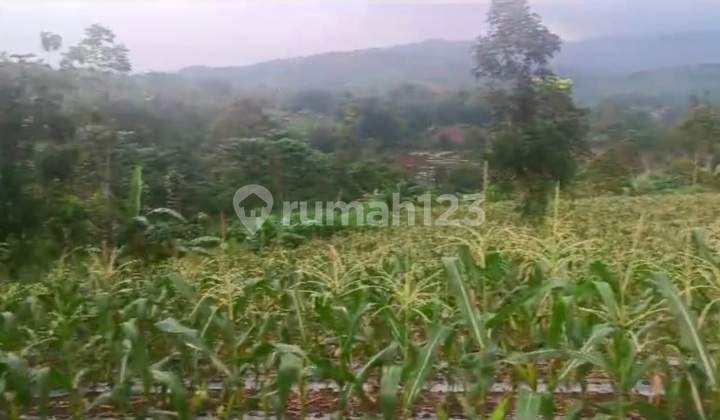 Di Jual Tanah View Gunung Di Sukabumi Di Jual Tanah View Gunung Di Sukabumi