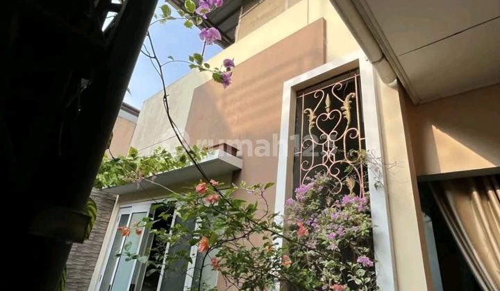 6.5m The Green Best Price Width 15 Facing North 2