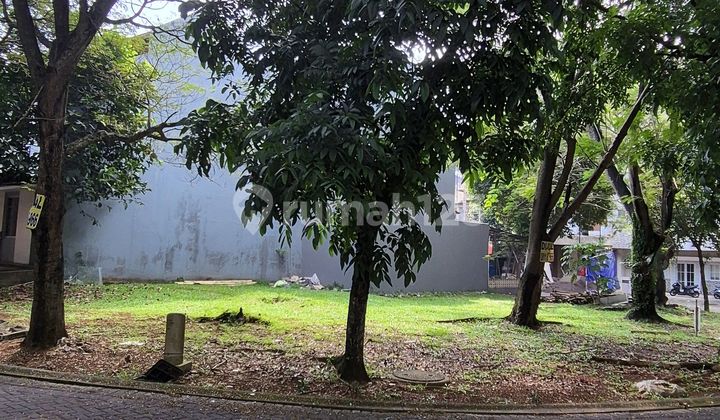 15jt Foresta Kavling Khusus Kost 199m2 Bisa Kpt Selatan-timur 15jt Foresta Kavling Khusus Kost 199m2 Bisa Kpt Selatan-timur