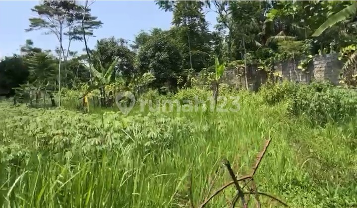 Jual Tanah Lokasi Strategis di Cidahu Sukabumi 3