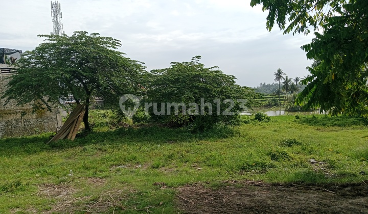 Tanah Deket Pantai Vew Sawah Pantai Tanah Deket Pantai Vew Sawah Pantai