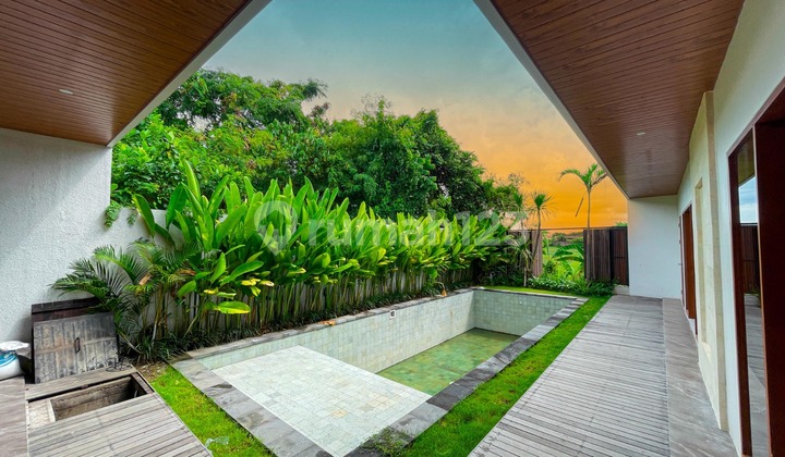 Beautiful Villa. Busy Environment in Seminyak. Beautiful Villa. Busy Environment in Seminyak.