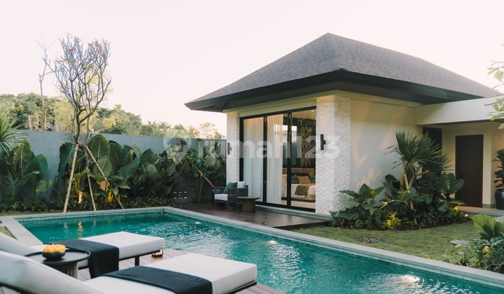 Dijual Villa Mewah Area Jimbaran Suasana Lingkungan Pedesaan 2