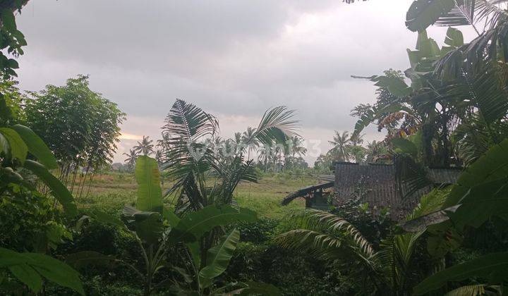 Cheap Land Ready to Build, Comfortable Neighborhood Diubud 2