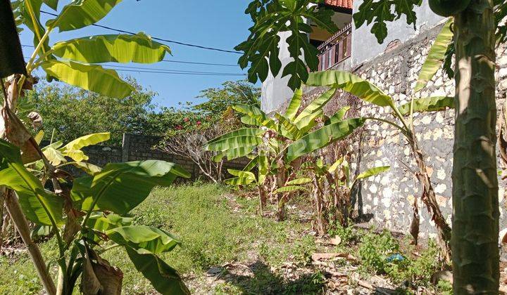 Very Cheap Ready to Build Land Jimbaran 1