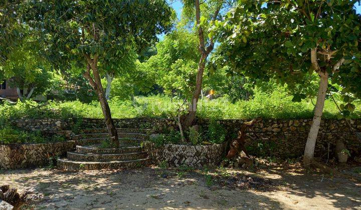 Tanah strategis nusa lembongan bali dengan objek wisata alam 5