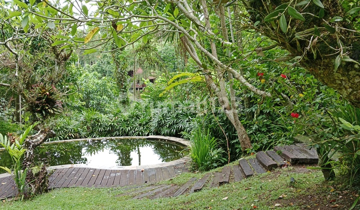 Modern river villa, calm and cool environment in the Ubud area 2