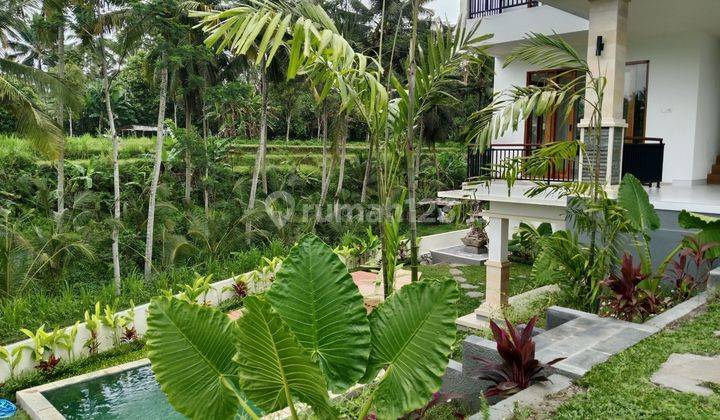 Vila cantik vew sawah, lingkungan tenang dan nyaman diubud 1