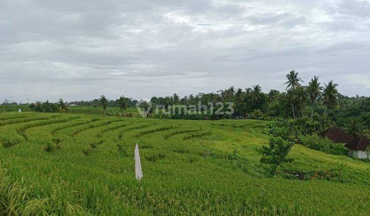 DIJUAL TANAH AREA PANTAI CEMAGI 15 MENIT MENUJU PANTAI 2