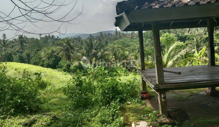 Tanah murah deket pantai soka dan balian beach, lingkungan tenang dan nyaman 1