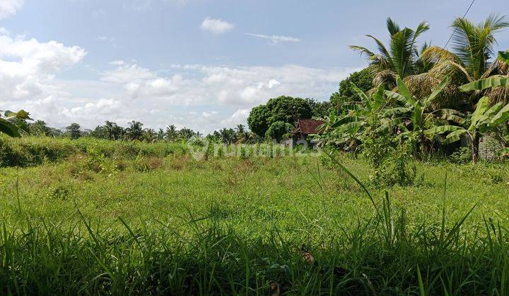 Strategic land, big road, quiet rice fields in Ubud 2