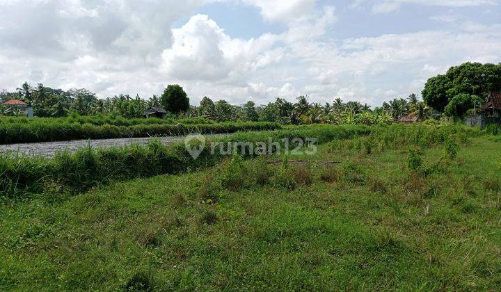 Strategic land, big road, quiet rice fields in Ubud 1