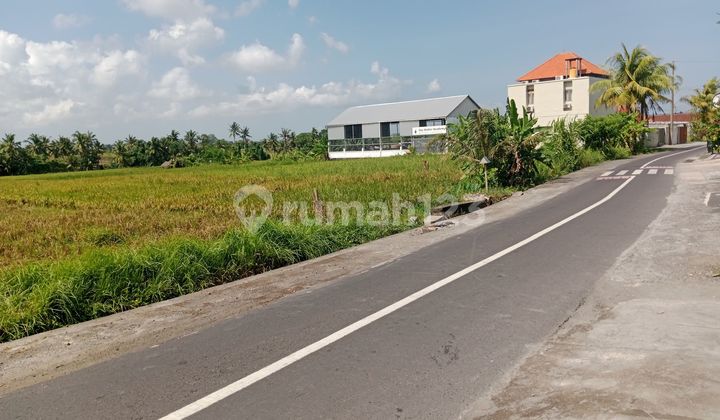 Modern style villa, comfortable environment with rice fields near Canggu 2