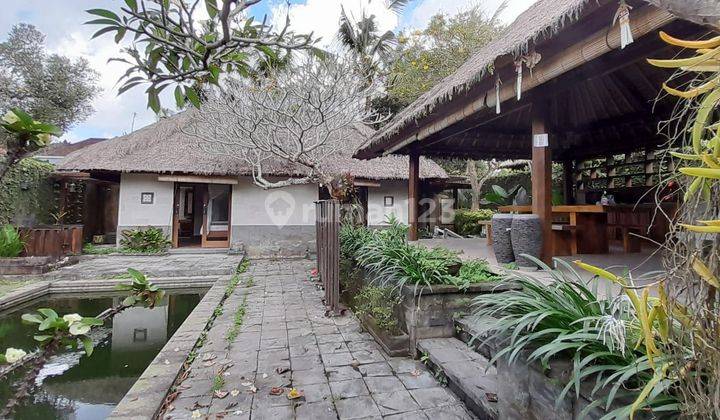 Vila siap huni, lingkungan tenang dan nyaman area ubud 2