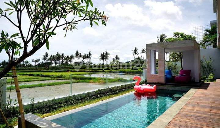 Vila Lantai 2 Vew Sawah Lingkungan Nyaman Diubud 1