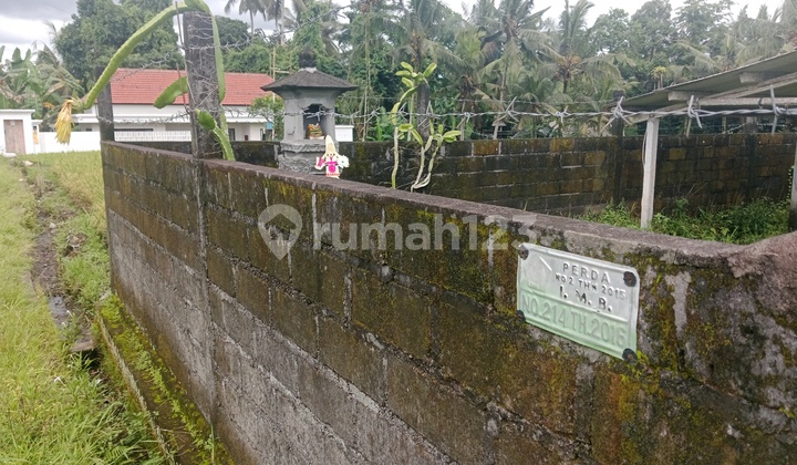 Tanah Murah Siap Bangun,cocok Buat Vila Diubud Tanah Murah Siap Bangun,cocok Buat Vila Diubud