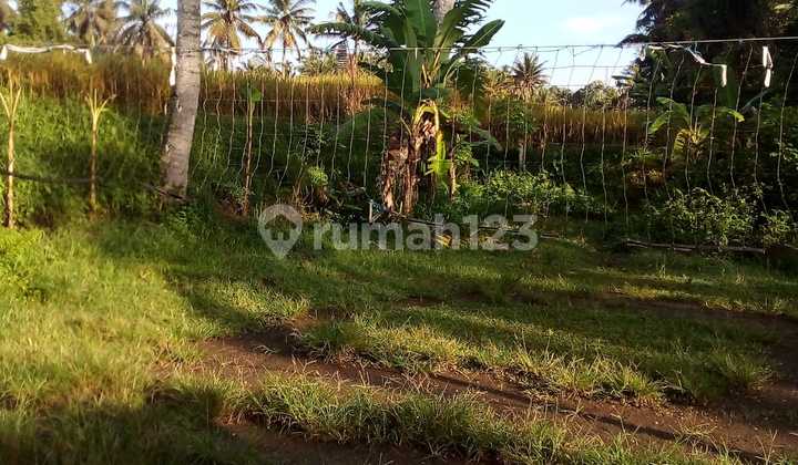 tanah strategis .lingkungan aman dan tenang cocok untuk villa tanah strategis .lingkungan aman dan tenang cocok untuk villa