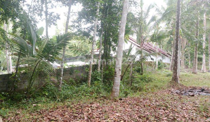 Tanah Murah Lingkungan Tenang Vew Sungai Ditabanan 2