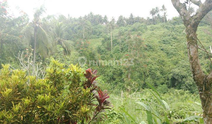 Tanah Kontrakan Area Ubud  5 Mnt Menuju Center ITR  Kuning 2