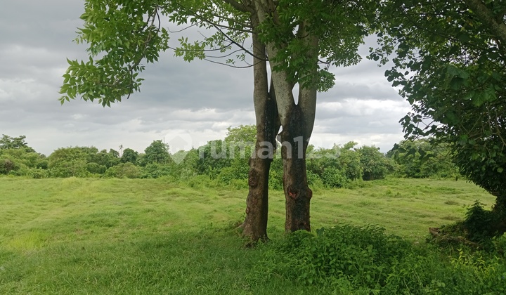 Cheap Land Near Beach Good Access in Giajyar Cheap Land Near Beach Good Access in Giajyar