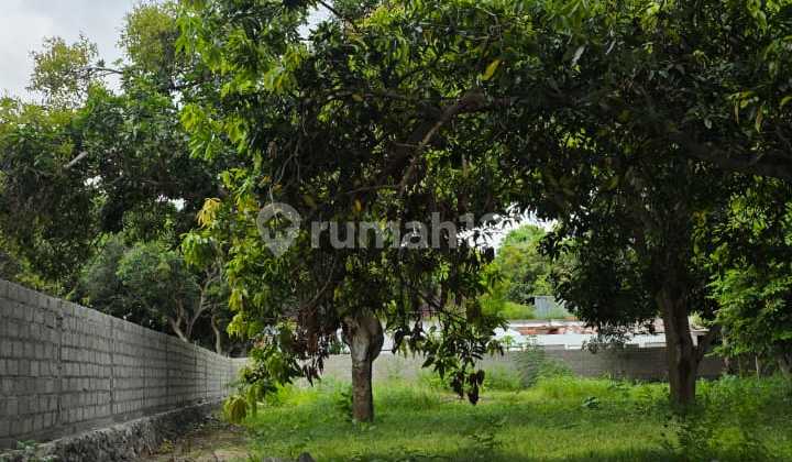 Tanah Kapling 4 Unit Saja Disanur Tanah Kapling 4 Unit Saja Disanur