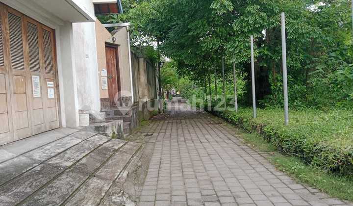 Tanah Langka Deket Pantai Sanur Tanah Langka Deket Pantai Sanur