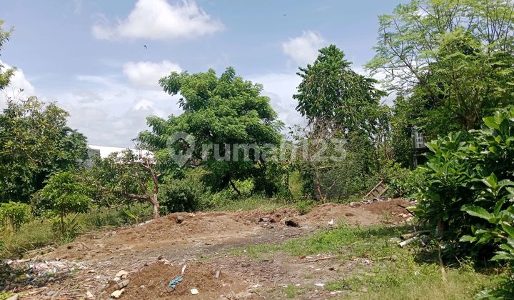 Tanah Langka Likasi Tenang dan Nyaman di Sanur