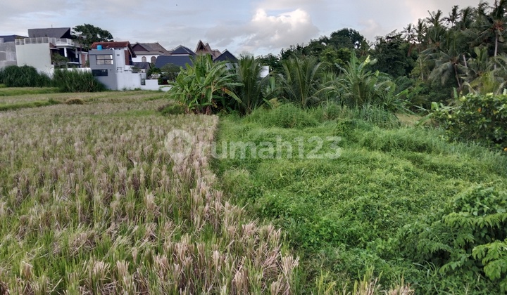 Land Ready to Build with Rice Field View in Ubud
