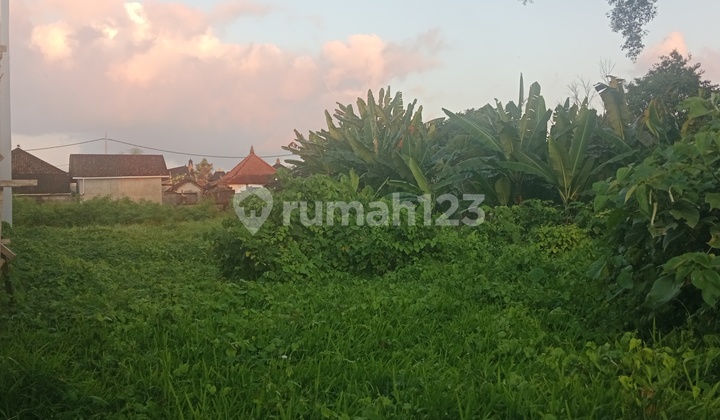 Land Ready to Build, Villa Environment in Ubud Land Ready to Build, Villa Environment in Ubud