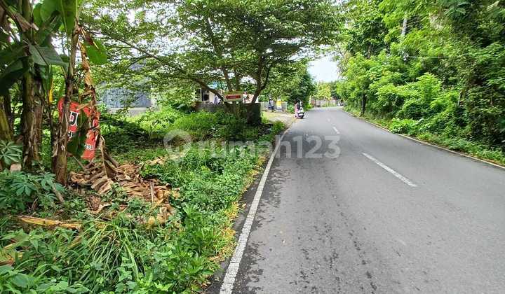 Tanah Langka Deket Pantai Jasri