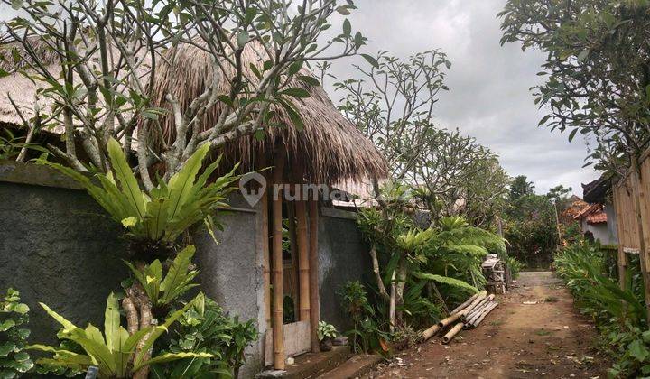 Abstract villa needs renovation, comfortable environment in Ubud 1