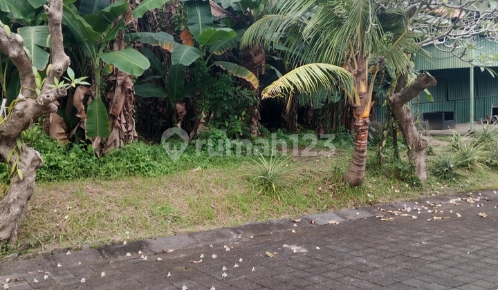 Premium Plots Near the Beach at Affordable Prices Premium Plots Near the Beach at Affordable Prices