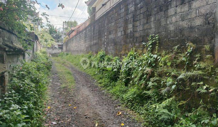 Tanah Murah View Jungle Tenang Dan Nyaman Area Ubud  1