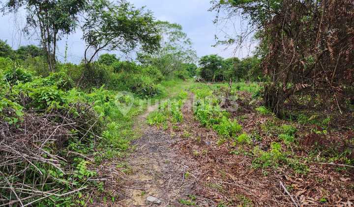 Dijual Tanah Tengah Jota Dekat Bandara 3