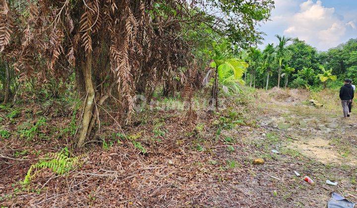 Dijual Tanah Tengah Jota Dekat Bandara 6