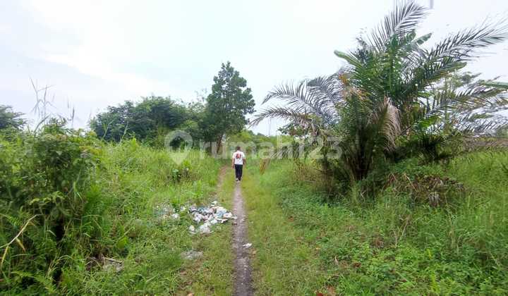 Dijual Tanah Tengah Jota Dekat Bandara 11