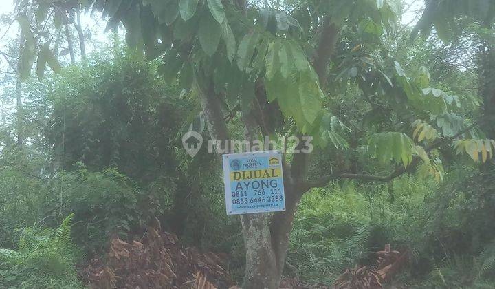 Dijual Sebidang Tanah Lokasi Tengah Kota di Jl. Marsan Panam Pekanbaru