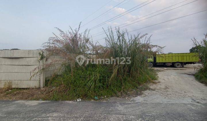  Disewakan Tanah Keras Dan Sudah Pagar Keliling Tepi Jalan Lokasi Jl. Beringin Pekanbaru 2