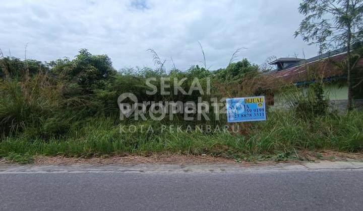 DIJUAL TANAH LUAS DI JL. CENDRAWASIH - PEKANBARU