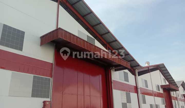 Warehouse for Rent (Shared Warehouse) There are 3 Warehouses. 40ft Container Access and Industrial Zone. 10 Minutes from Ciujung Toll Exit.