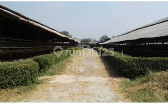 Land for Sale Located by the Main Road. Strategic Location and Flood-Free. Land for Sale Located by the Main Road. Strategic Location and Flood-Free.