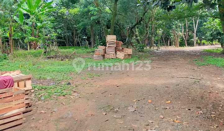 Vacant Land, area 170,000 (17 Ha), Front Width 55 Meters. HGB Certificate. 4.5 Km from West Balaraja Toll Gate. 40 Feet Container Access.