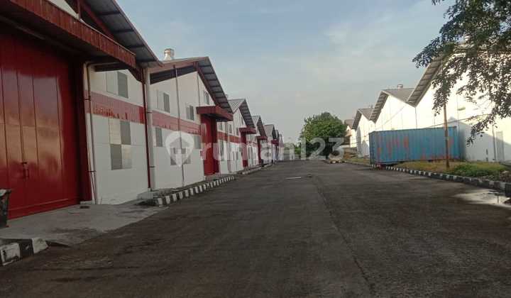 Warehouse for Rent (Shared Warehouse) There are 3 Warehouses. 40ft Container Access and Industrial Zone. 10 Minutes from Ciujung Toll Exit.
