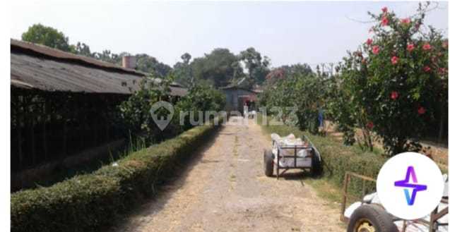 Land for Sale Located by the Main Road. Strategic Location and Flood-Free. Land for Sale Located by the Main Road. Strategic Location and Flood-Free.