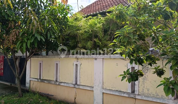 Nice Luxury House for Quick Sale in Kunciran Complex 2