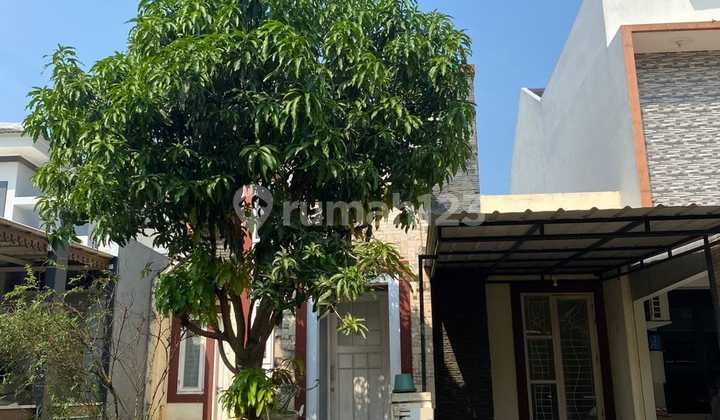 Comfortable Green Home in Graha Valencia Cluster, Graha Raya