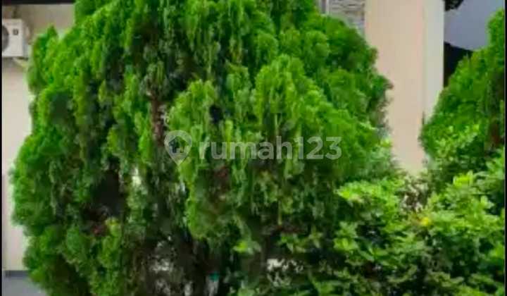 Good House Fully Furnished Corner Position in Modernland 2