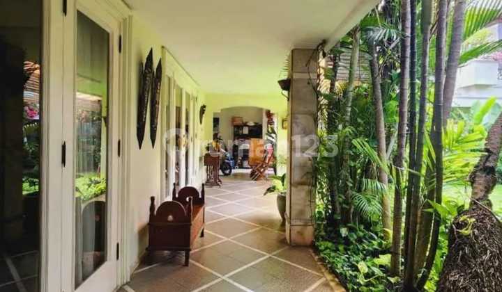 Rumah Bagus Mewah Asri di Kemang Jakarta Selatan